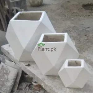 DIAMOND SHAPE CONCRETE POT SET